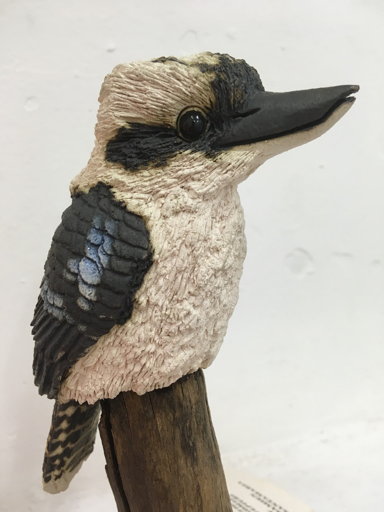 kookaburra plush